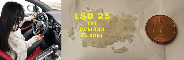 ПСИЛОЦИБИНОВЫЕ ГРИБЫ Алзамай