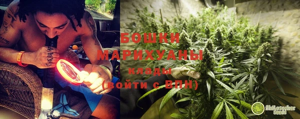 ПСИЛОЦИБИНОВЫЕ ГРИБЫ Алзамай