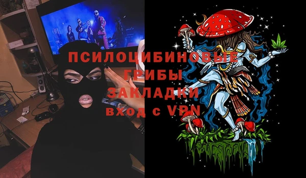 ПСИЛОЦИБИНОВЫЕ ГРИБЫ Алзамай