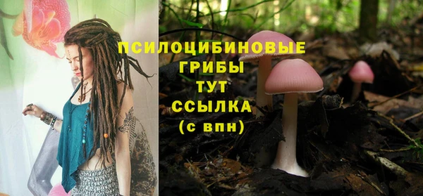 ПСИЛОЦИБИНОВЫЕ ГРИБЫ Алзамай